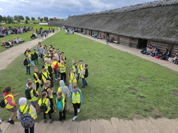 3023b017-920b-4d90-8b3f-033d516a73ea