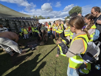 9501b596-1f4d-41ae-ae68-b96a77a5542f