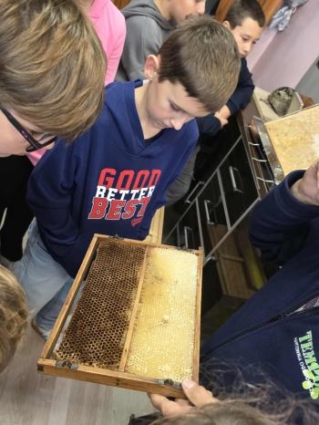 1d785bfb-a225-4012-af50-5c403bd8a93f