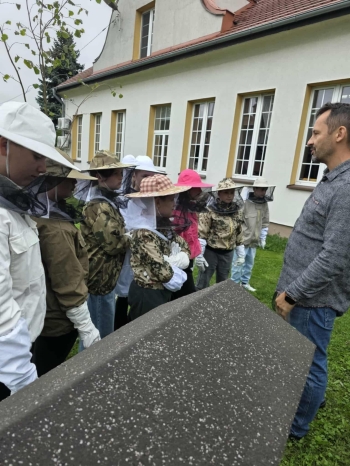 1e125736-80b4-4c12-b251-1b5de26a00b3