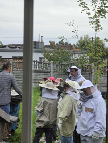 2ae73815-b366-4bc2-8a2e-6c78f6174b6d