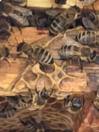 3d5bd21e-2db0-4e1d-8d6c-0d0639485875