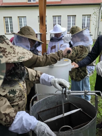 7c602a59-e375-4e90-83f3-8ba10c25b2e4