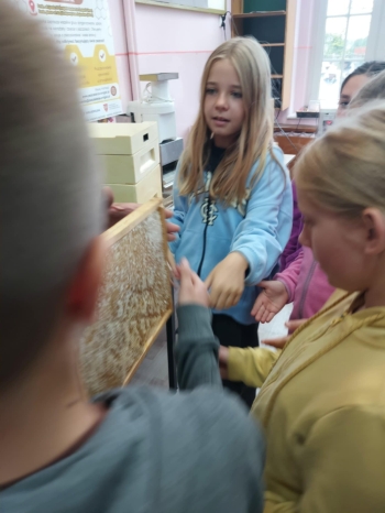 64e4c178-9b04-477a-bc7f-4df7163e0f39