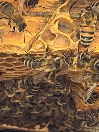 095b9ef1-542b-439a-aedf-8d449d182363