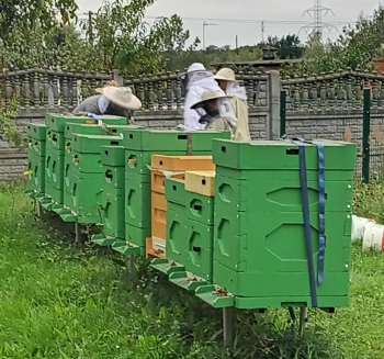 247abe5f-f8c5-4f5d-8b18-bda151cad4a5