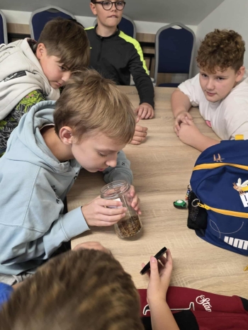 897a5777-dd92-43aa-a844-9755380cee55