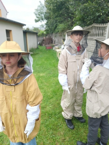 2008e8e9-b04a-4ffc-b14b-a9bb56e0bbe3