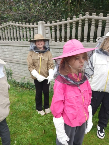 084860c2-147d-47a6-995e-bf52ddbf651b