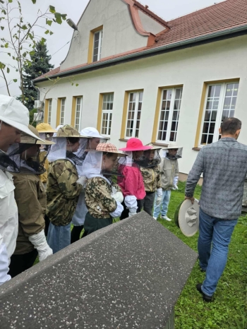 a979ae08-fce7-4dbe-b4aa-f76944258c19