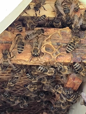 d6b2b53f-2195-4069-88c8-ab38ac6578e1