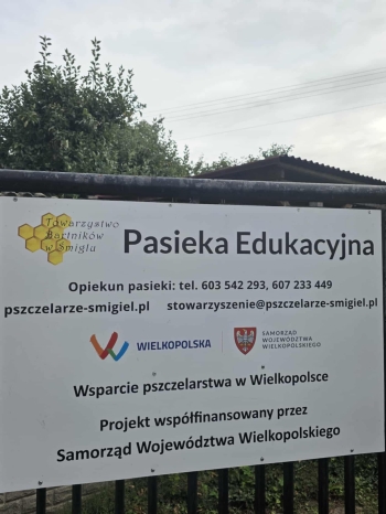 e29e6e59-0f73-4313-a2a4-fb7351eb294b