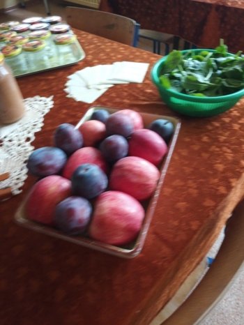 92ec91ba-be24-4460-9849-4f9ece62ddfc