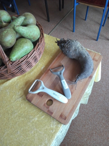 cafe16b5-3dc6-48f7-9e1d-f43005fb9303