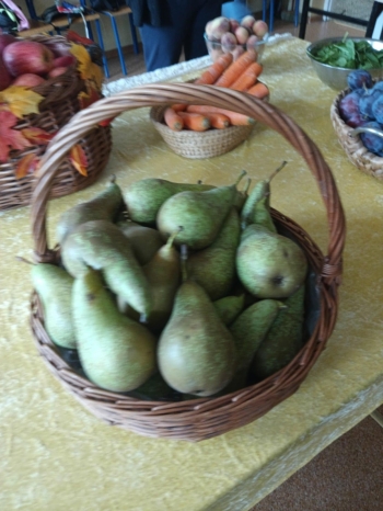 d450ebd2-3110-4dc2-b19f-42d01f7ae71c