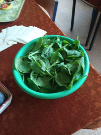 e931a8af-c44a-42aa-b0e0-618cc3175b7e