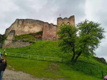 8e580868-6d07-4d70-b7c5-74e16b118032