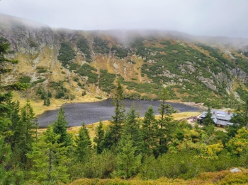 144c76da-92d6-4d4c-99ed-8d22ccdaa69b