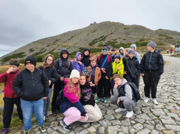 202b40d2-849b-424a-aca8-036722998fe2