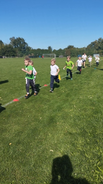 1fa46288-e296-4f22-8ab6-83b516cda8e4 (1)