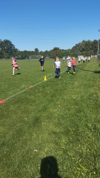 53aa39c0-a265-40ae-ba7d-3985ad9a458f