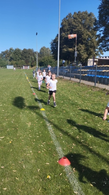 0822f636-d09d-4946-a3e8-bc153b4fdd16