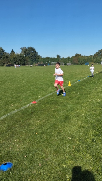 8891399d-1722-4468-ac52-2f46ae989bd7