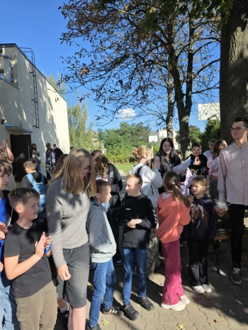 6687a6c6-fab6-4eb3-b138-d2a61ab4337f