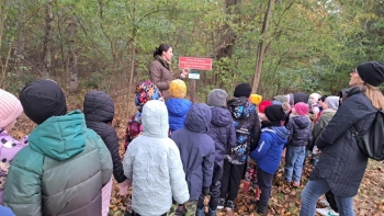 8e846e1a-c31d-4ec9-ac11-3989ad028673