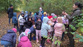 77ef11cd-2990-458c-8c8a-929d9c95cb19