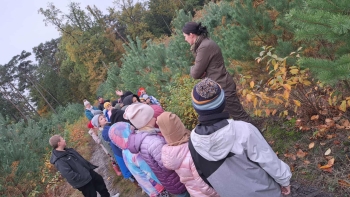 de87f355-acc5-41b9-a67e-f15f67657a7b