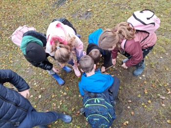 0db7ed4b-ed0e-4606-8abb-4090d8193a26