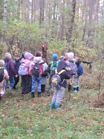 8a63ae29-eac3-4f0b-b1f5-6d201a8f2e51