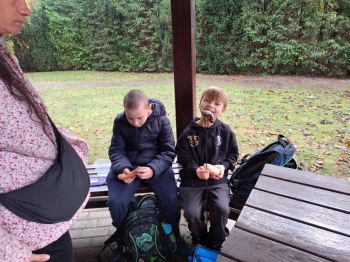 31b5a11f-a7a8-4385-9048-ec0760637253