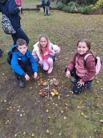 41ad7eee-3952-4ebd-a8d3-c4d80aa05fc7