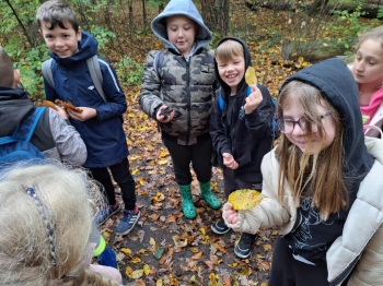 46dd58a4-808a-4838-b9ba-632fba9e4b5a