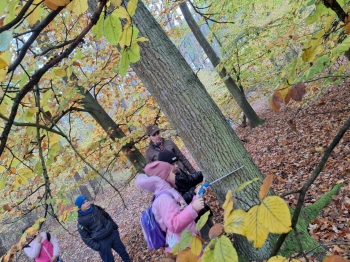 53d11d6c-f094-4a38-8887-fb497e1fce9f