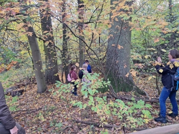 734e56be-cfe7-455b-8c07-e2a7faa55cf1