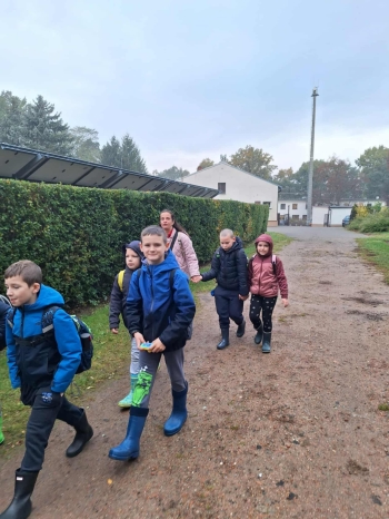 936dce31-2634-490c-84c1-13878a3fd68f