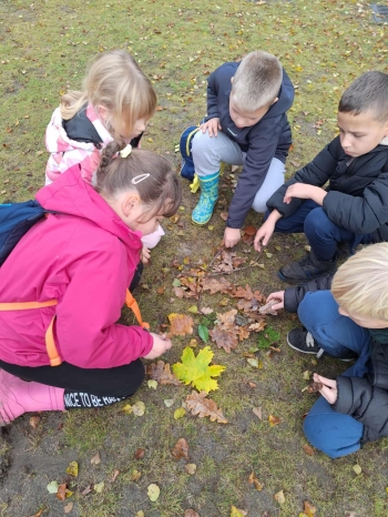 893eaa9f-4a0a-4f63-bbcf-5245f09f2926