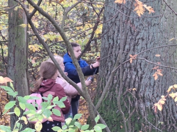 42232df4-5f46-4cde-85df-047347a2d3bf