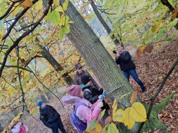 124697a1-d824-403c-8d37-5bd4ae7e4a3e