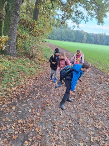 c579ca78-a003-443b-8215-e4abfcf7d1e7