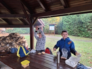 d29ddb1a-7ba2-4991-9cf1-ef68f4013f1d