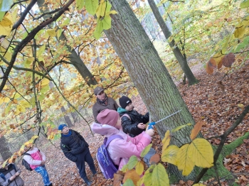 f58e9418-19d1-4f36-8b41-219d57f57c3c