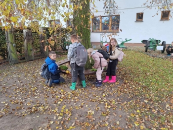 fcc74d1b-8c14-4f8f-993f-c08770d99035