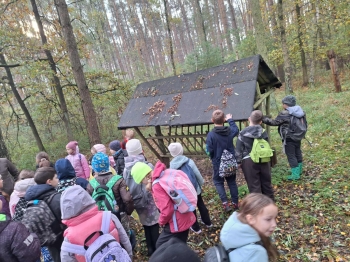 fdf9848f-9359-4995-8650-22aed82d1f79