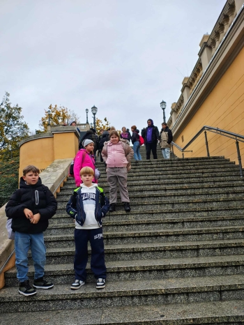 1c37e9e2-2d0b-4d4d-a39a-b841d61c62e8