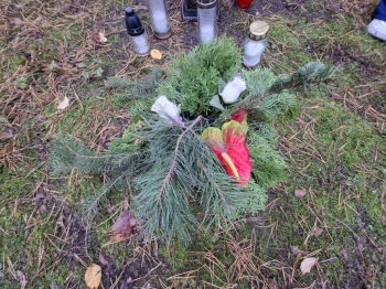 5d42d498-1b2f-408c-a1c1-6a29cf8dc531