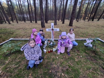 8add2d50-40cf-48e6-be1d-5f567494a220